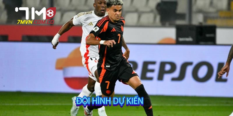 Đội hình dự kiến