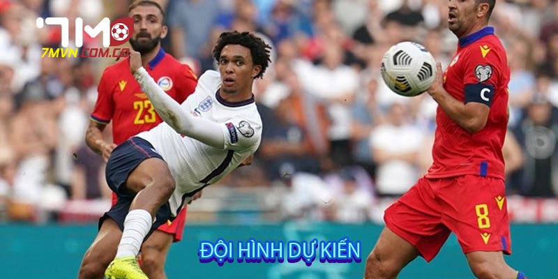 Đội hình dự kiến