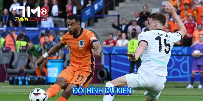 Đội hình dự kiến