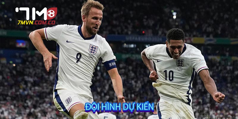 Đội hình dự kiến