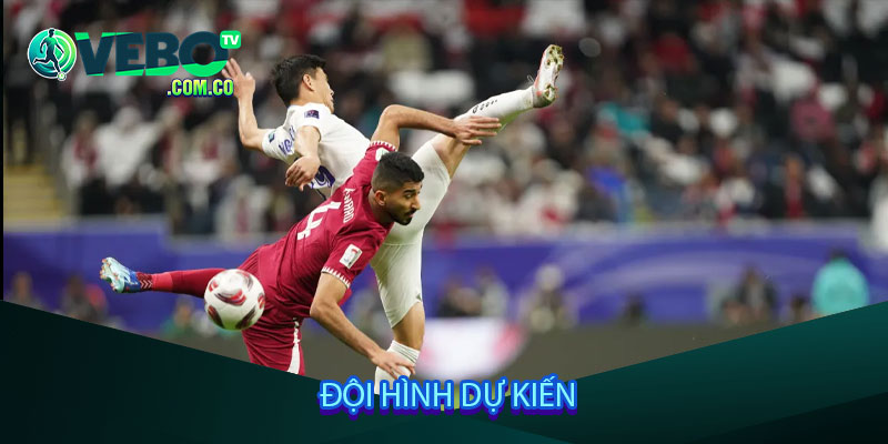 Đội hình dự kiến