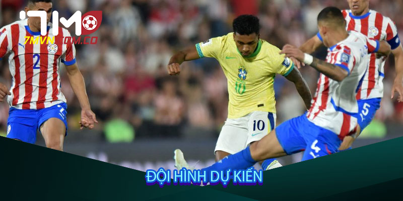 Đội hình dự kiến
