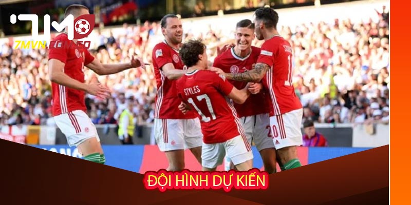 Đội hình dự kiến