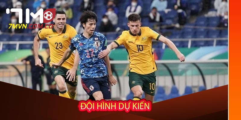 Đội hình dự kiến