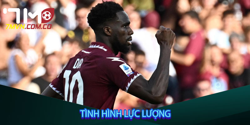 Tình hình lực lượng