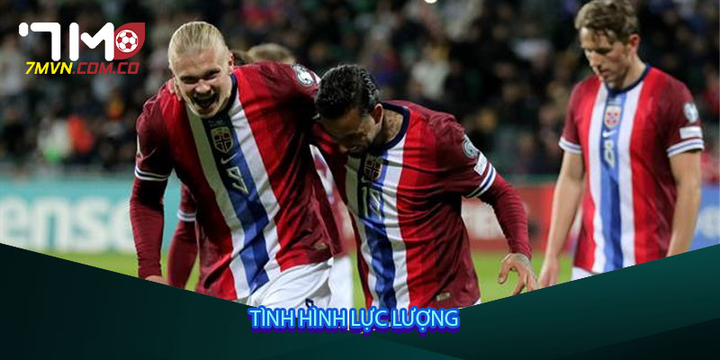 Tình hình lực lượng