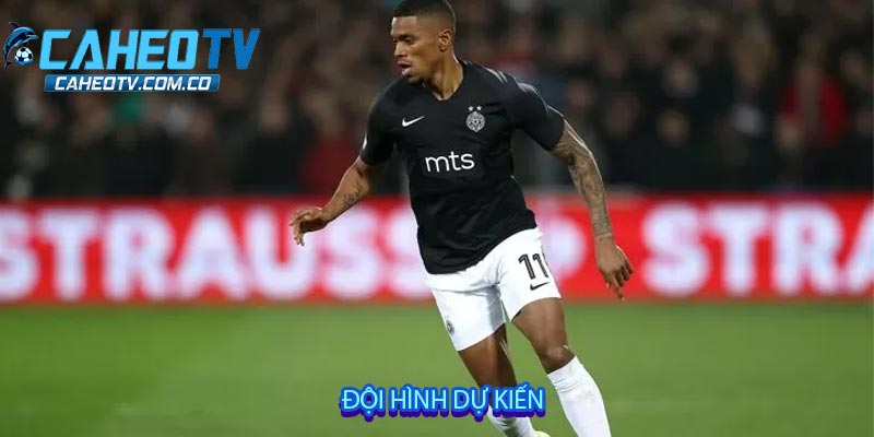 Đội hình dự kiến
