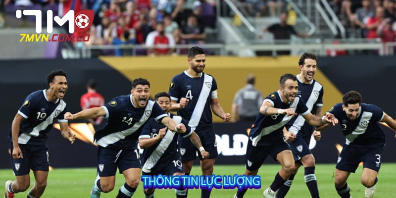 Thông tin lực lượng
